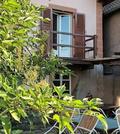 Au Jardin De La Maison Des Soeurs Mutzig