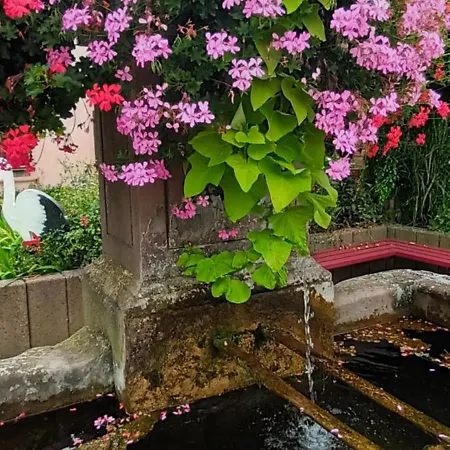 Au Jardin De La Maison Des Soeurs Oda ve Kahvaltı *
