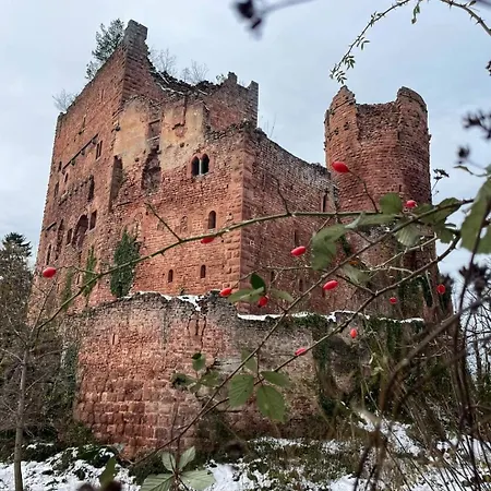 Au Jardin De La Maison Des Soeurs Oda ve Kahvaltı *