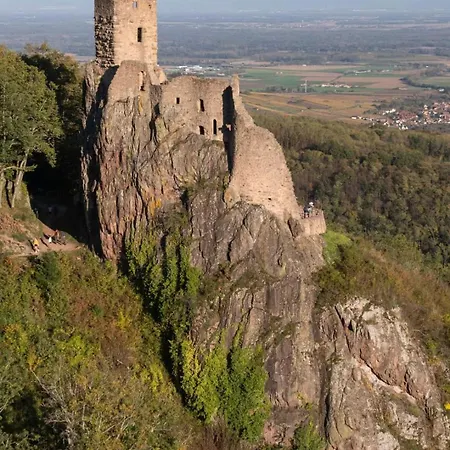 Oda ve Kahvaltı Au Jardin De La Maison Des Soeurs Mutzig