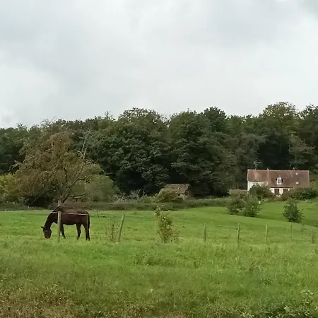 Au Jardin De La Maison Des Soeurs *
