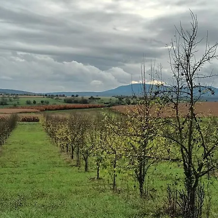 Au Jardin De La Maison Des Soeurs Bed & Breakfast