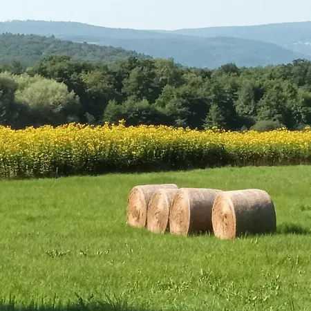 Au Jardin De La Maison Des Soeurs Oda ve Kahvaltı *