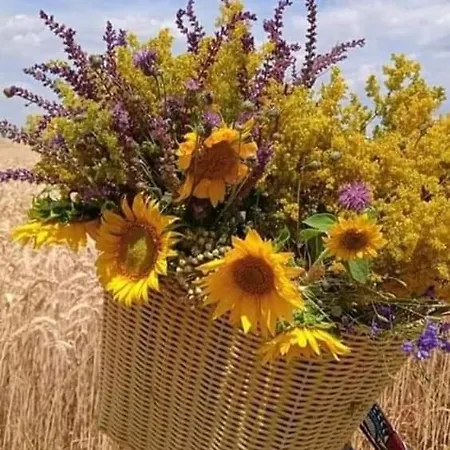 Au Jardin De La Maison Des Soeurs *