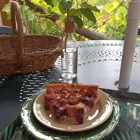 Au Jardin De La Maison Des Soeurs *