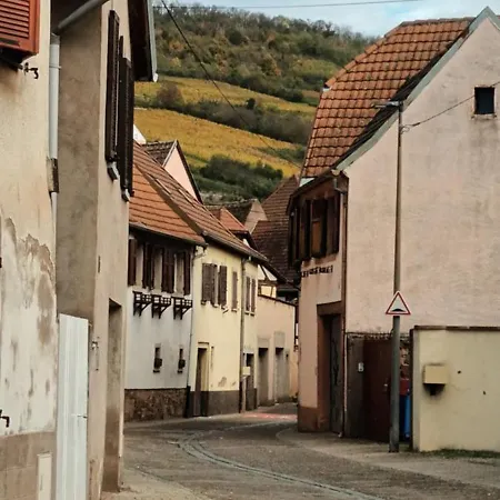 Au Jardin De La Maison Des Soeurs Bed & Breakfast Mutzig